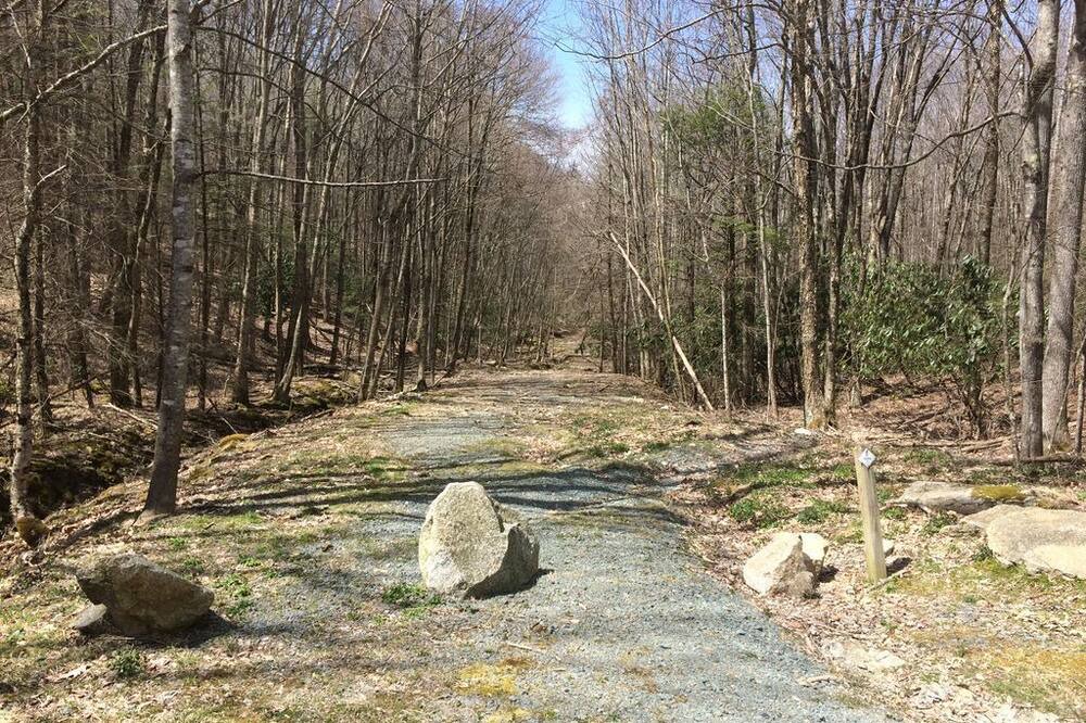 Photo of Outdoor in Beech Mountain