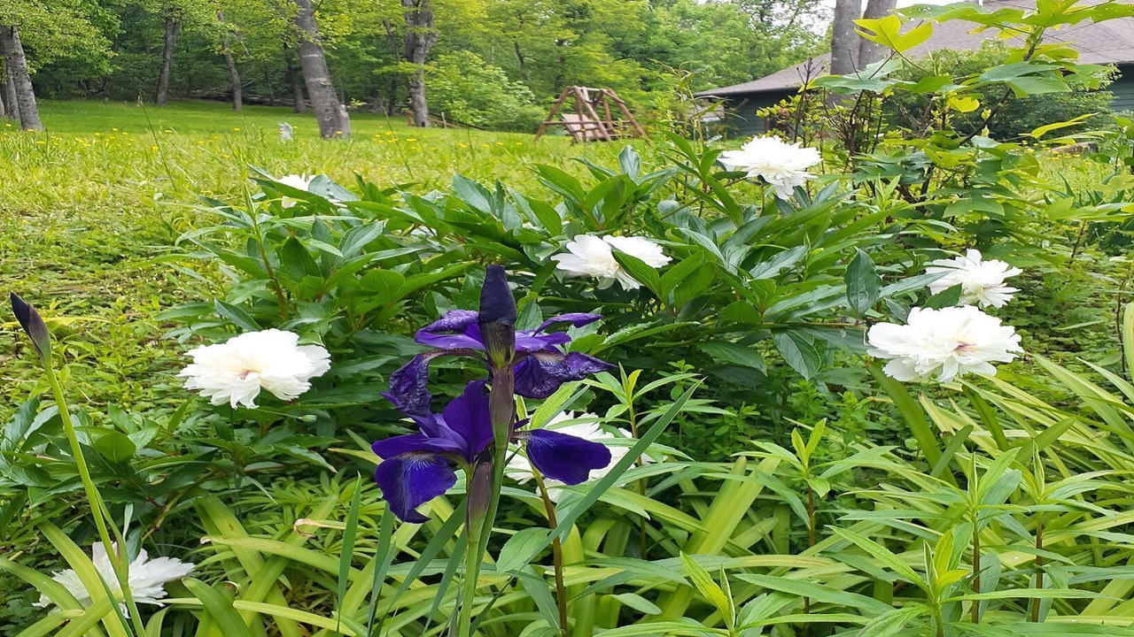 Photo of Outdoor in Hot Springs