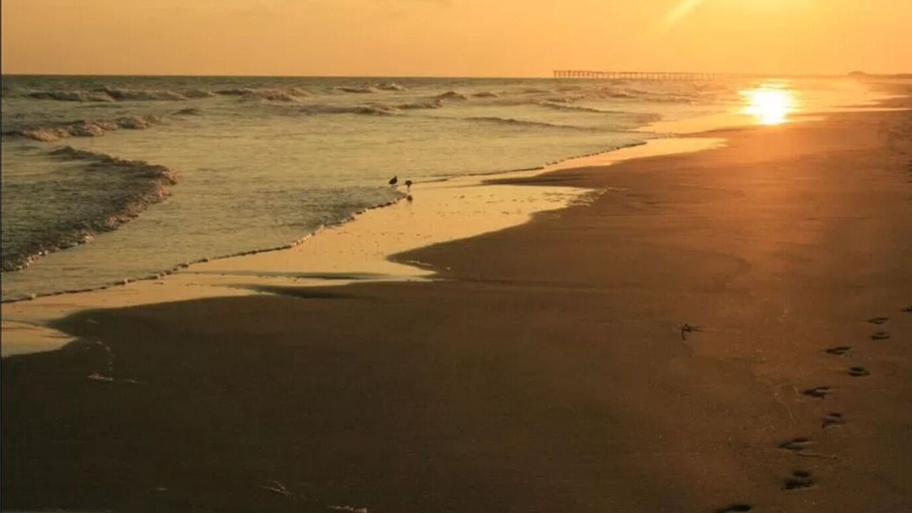 Photo of Others in Sunset Beach