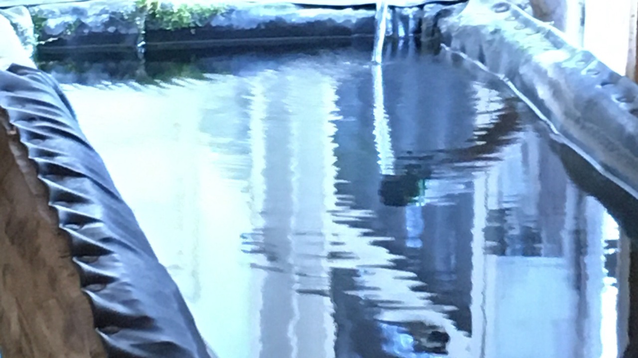 Photo of Others in Warrensville