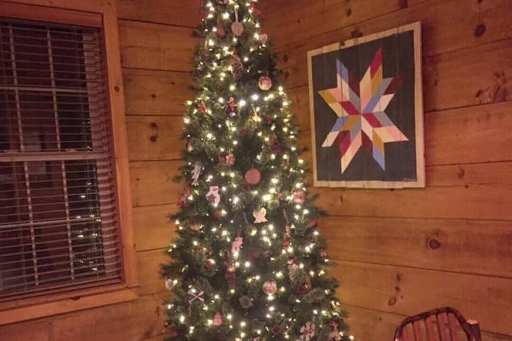 Photo of Bedroom in Hendersonville