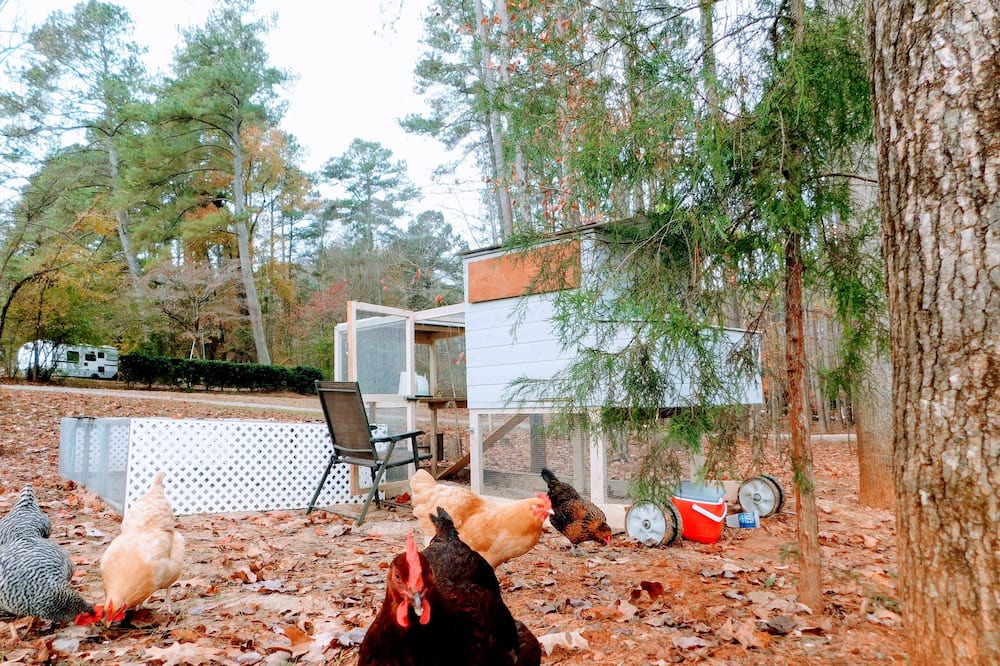 Photo of Outdoor in Garner