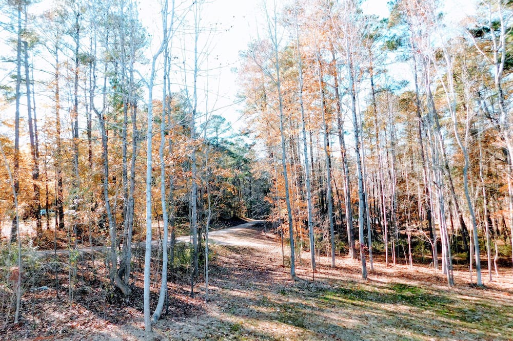 Photo of Outdoor in Garner