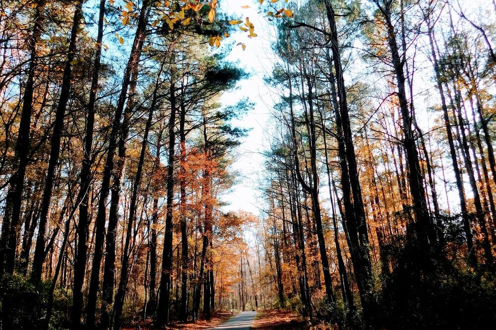 Photo of Outdoor in Garner