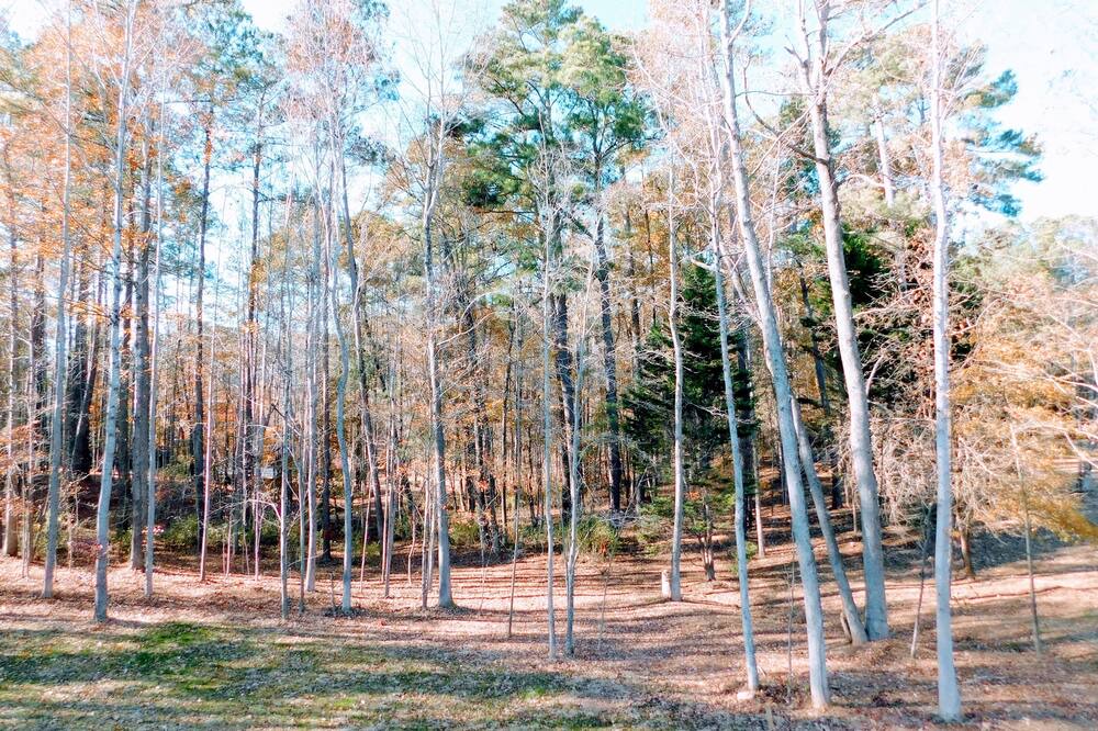 Photo of Outdoor in Garner