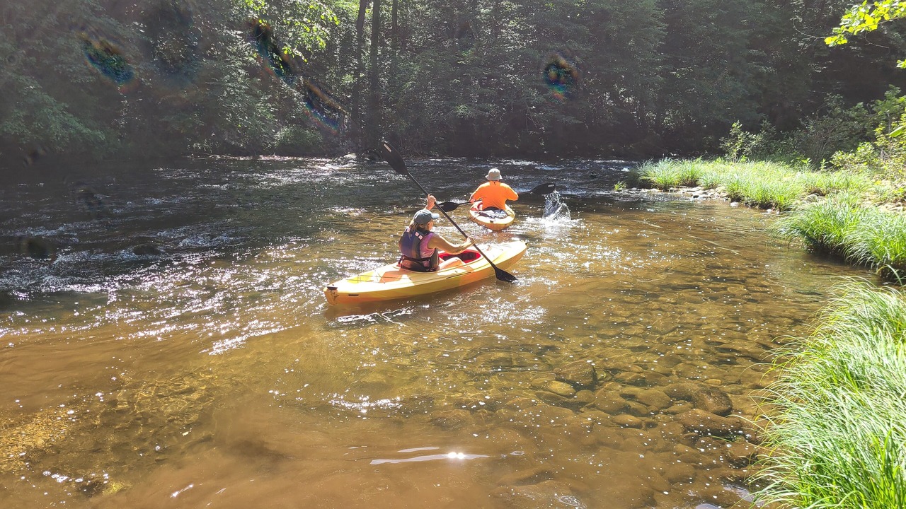 Photo of Others in Franklin