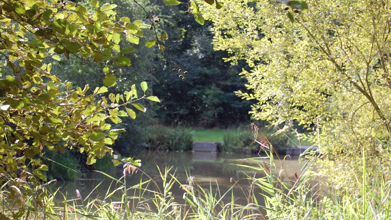 Photo of Others in Acomb