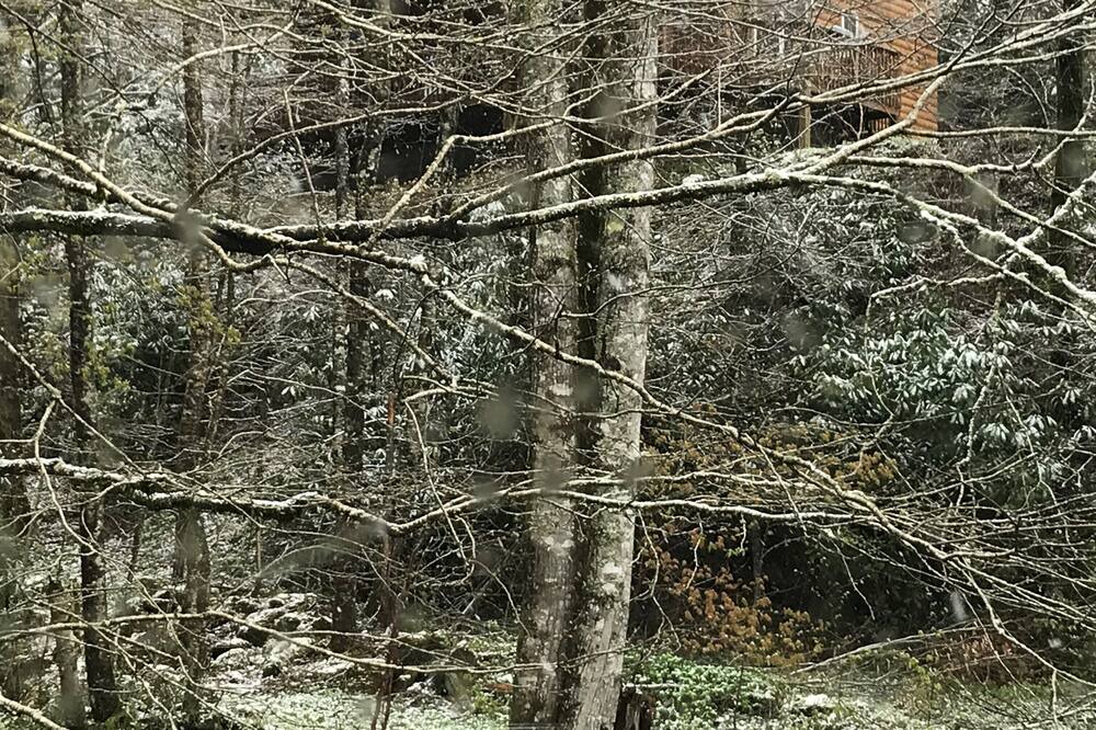 Photo of Others in Maggie Valley