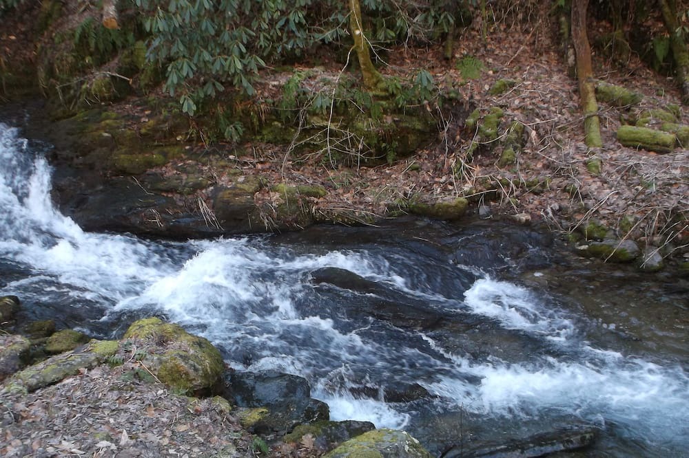 Photo of Others in Maggie Valley