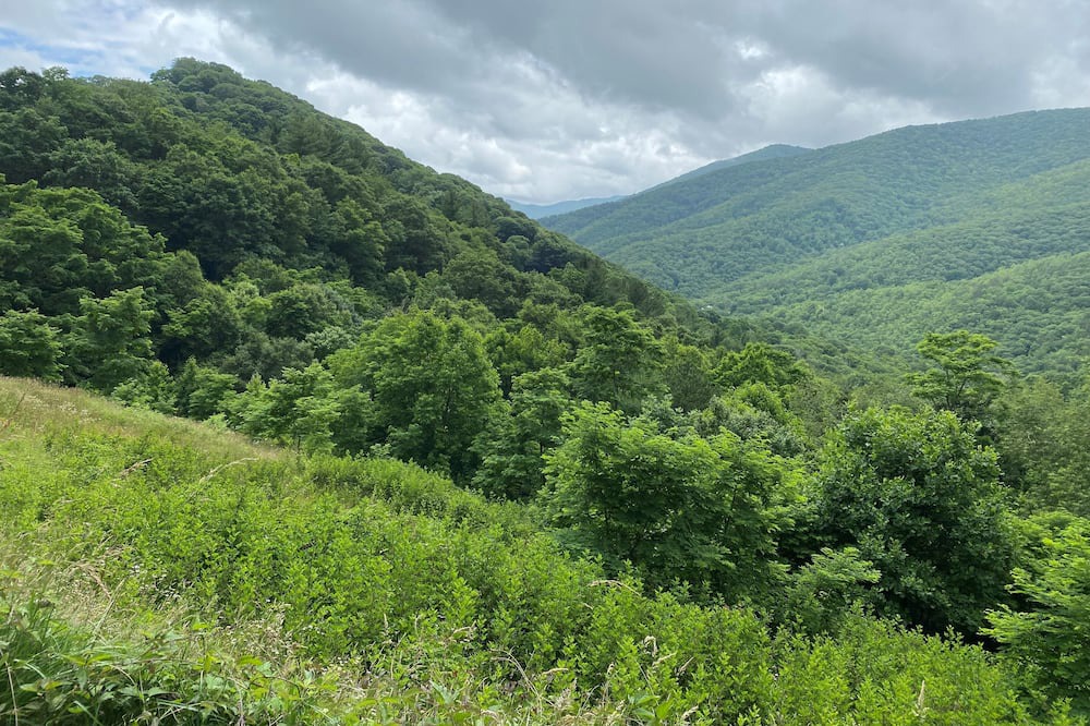 Photo of Others in Maggie Valley