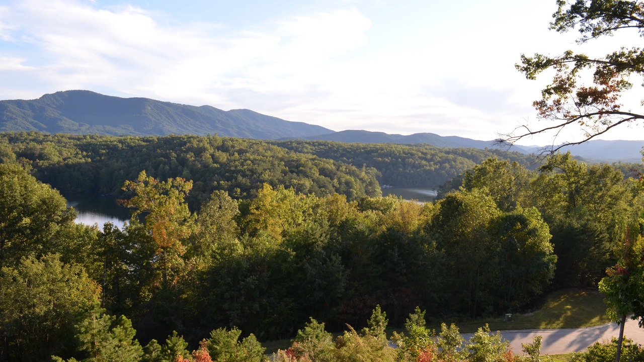 Photo of Outdoor in Mill Spring
