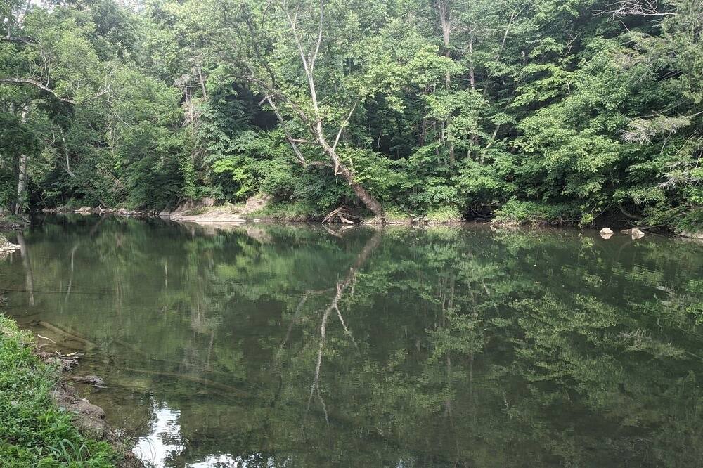 Photo of Others in Marion
