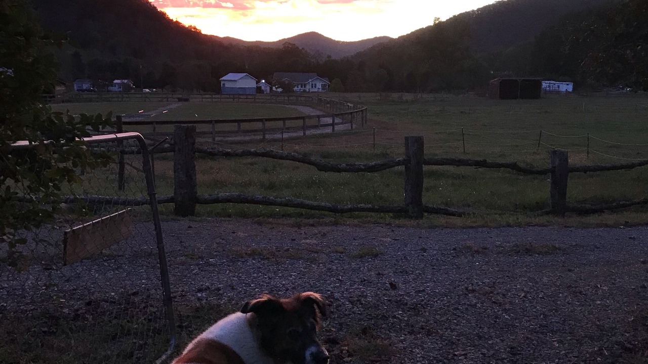 Photo of Outdoor in Barnardsville