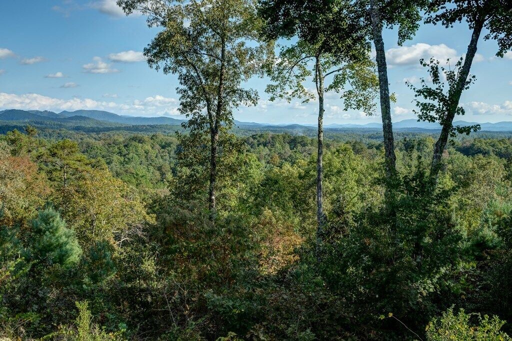 Photo of Others in Murphy