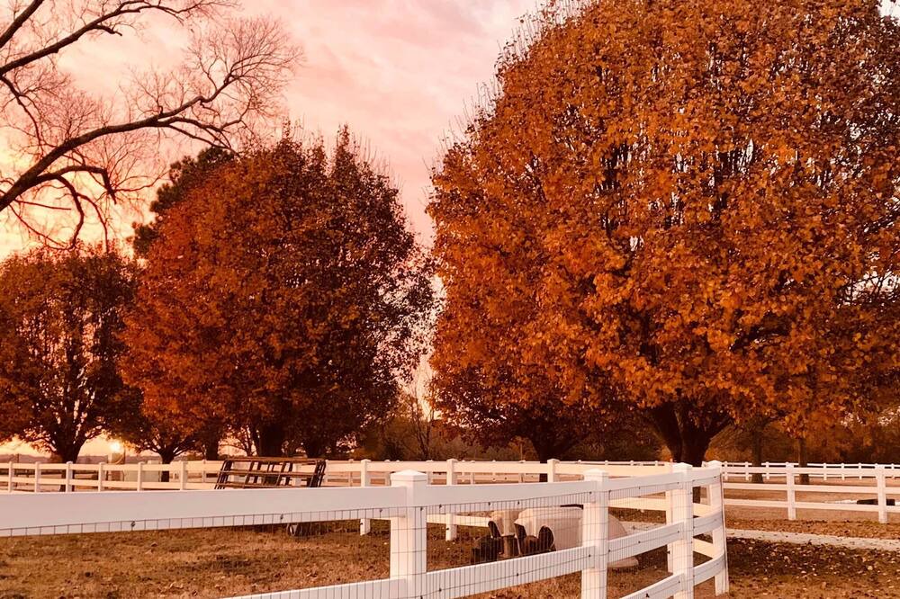 Photo of Outdoor in Parkton