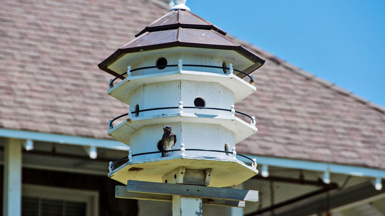Photo of Outdoor in Nags Head