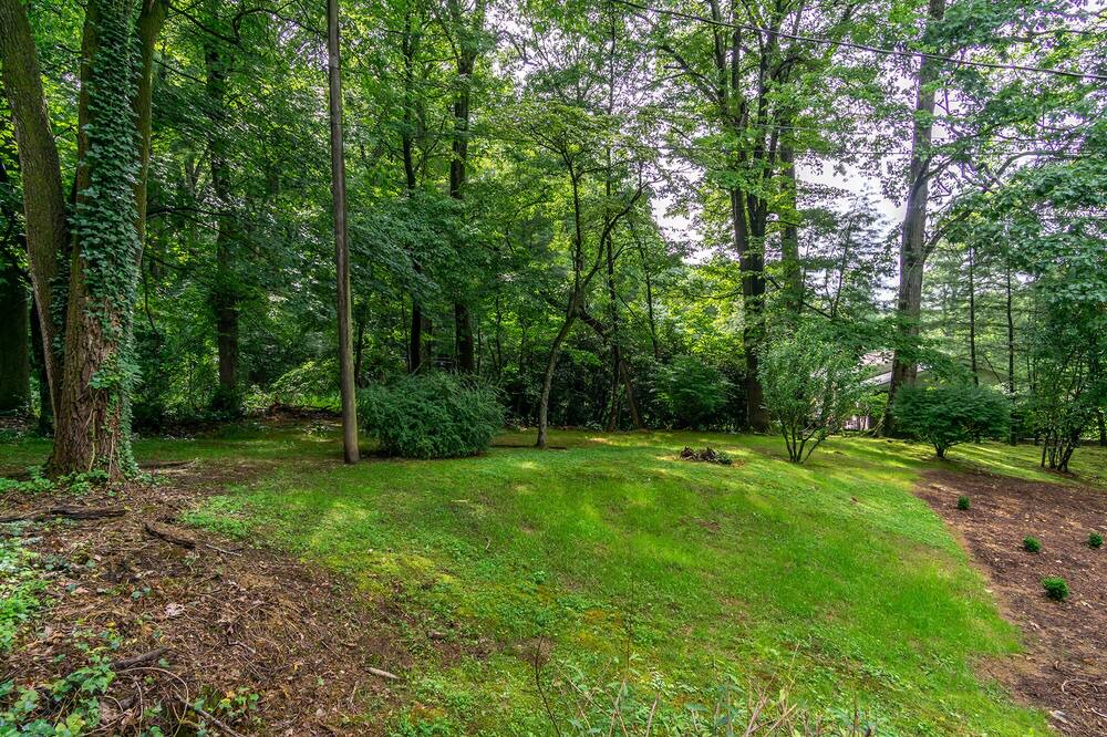 Photo of Outdoor in Laurel Park