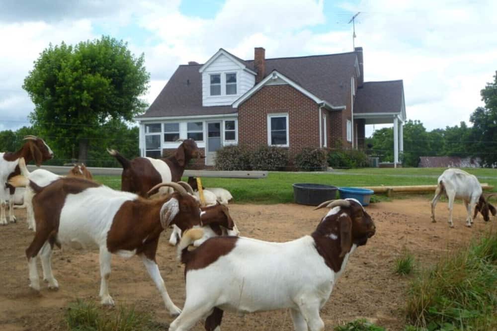 Photo of Others in Lawsonville