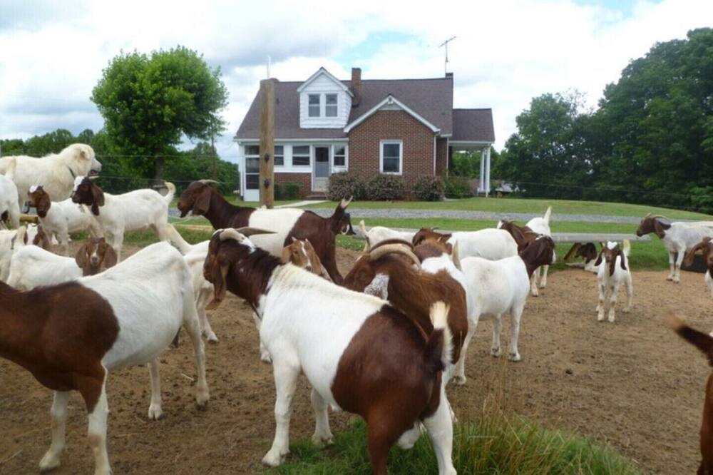 Photo of Others in Lawsonville