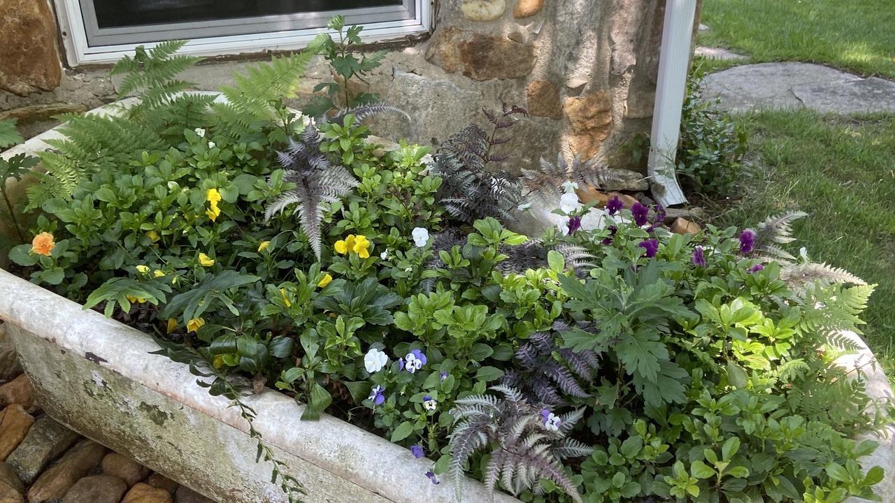 Photo of Outdoor in Lake Toxaway