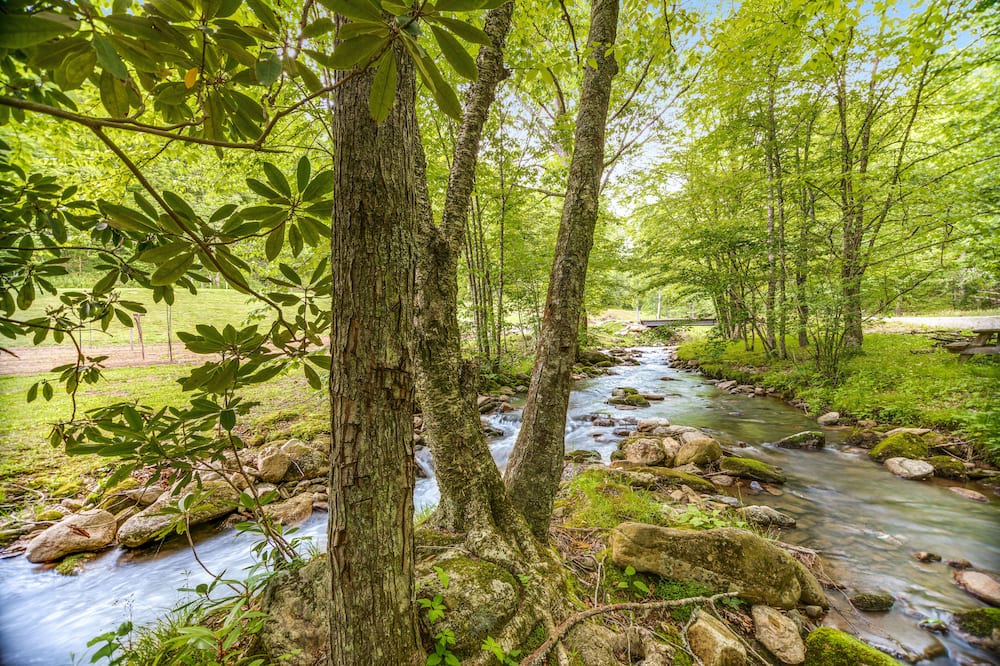Photo of Others in Sylva