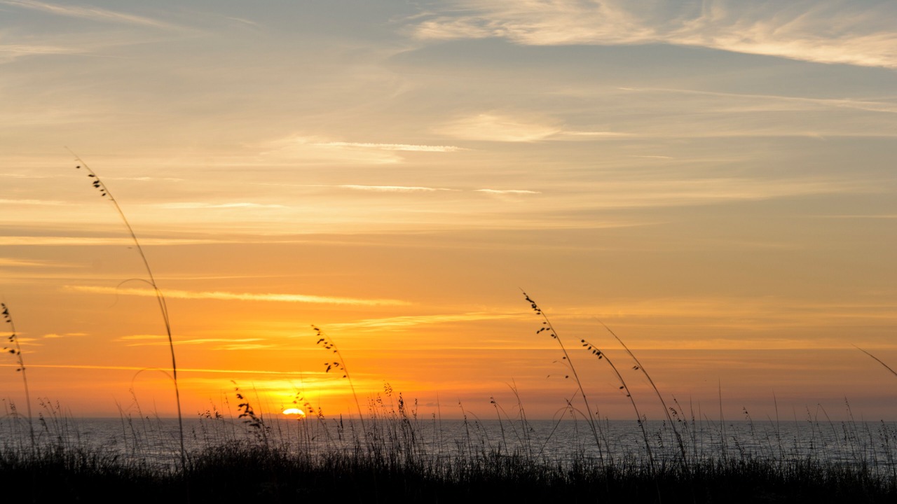 Photo of Others in Hilton Head Island