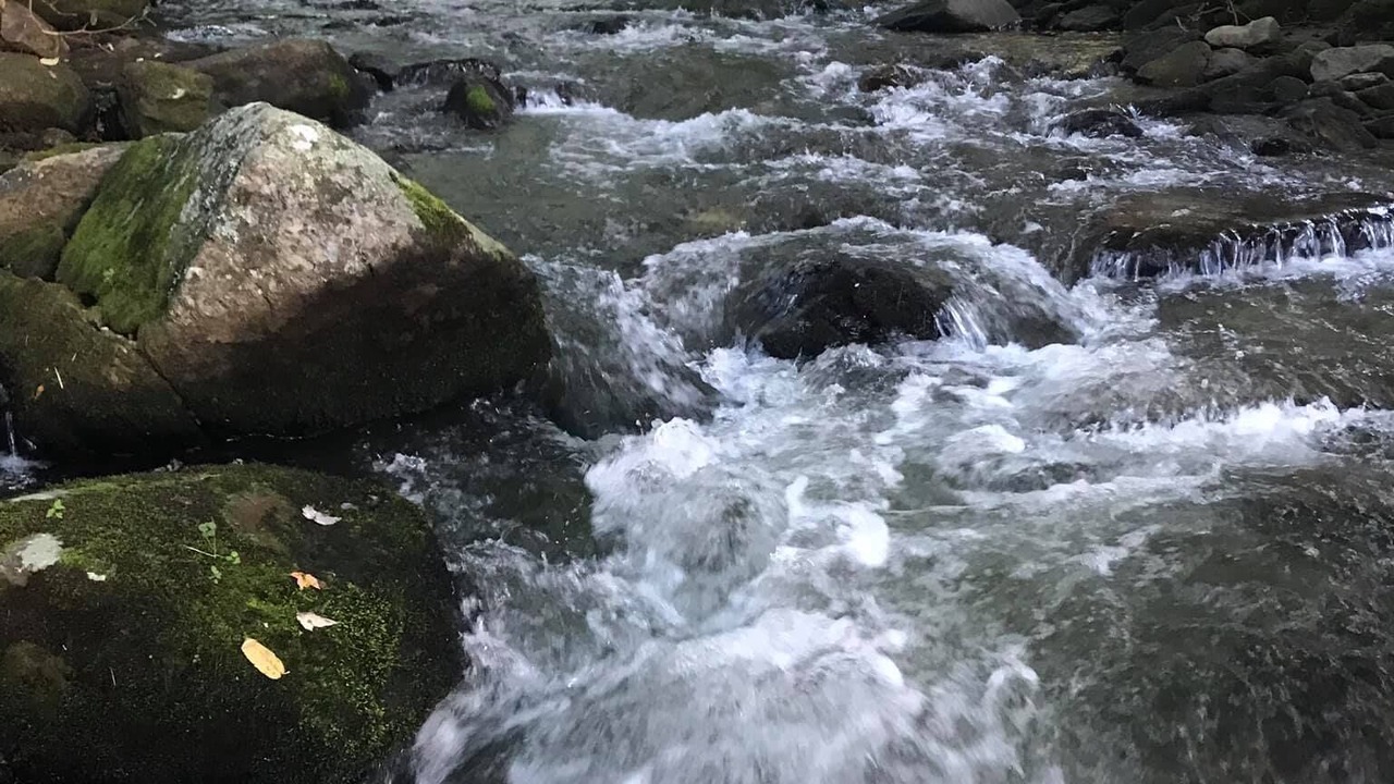 Photo of Others in Maggie Valley