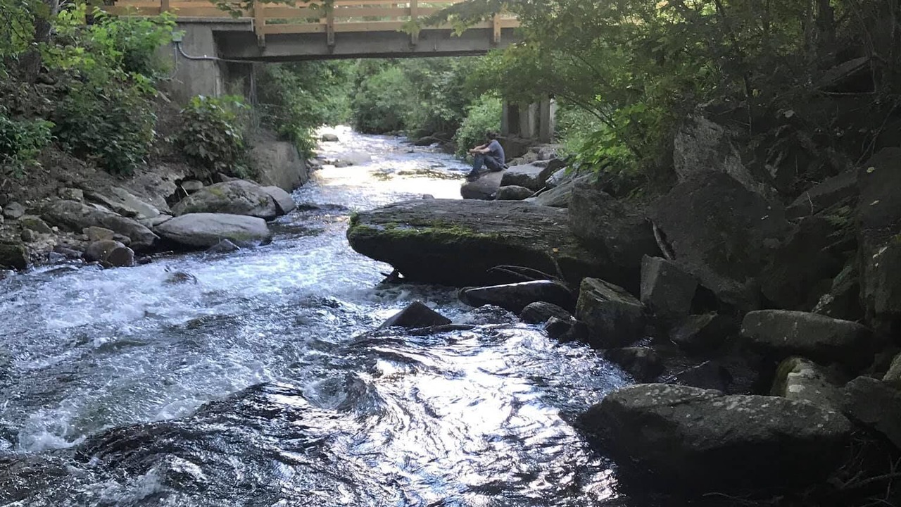Photo of Others in Maggie Valley