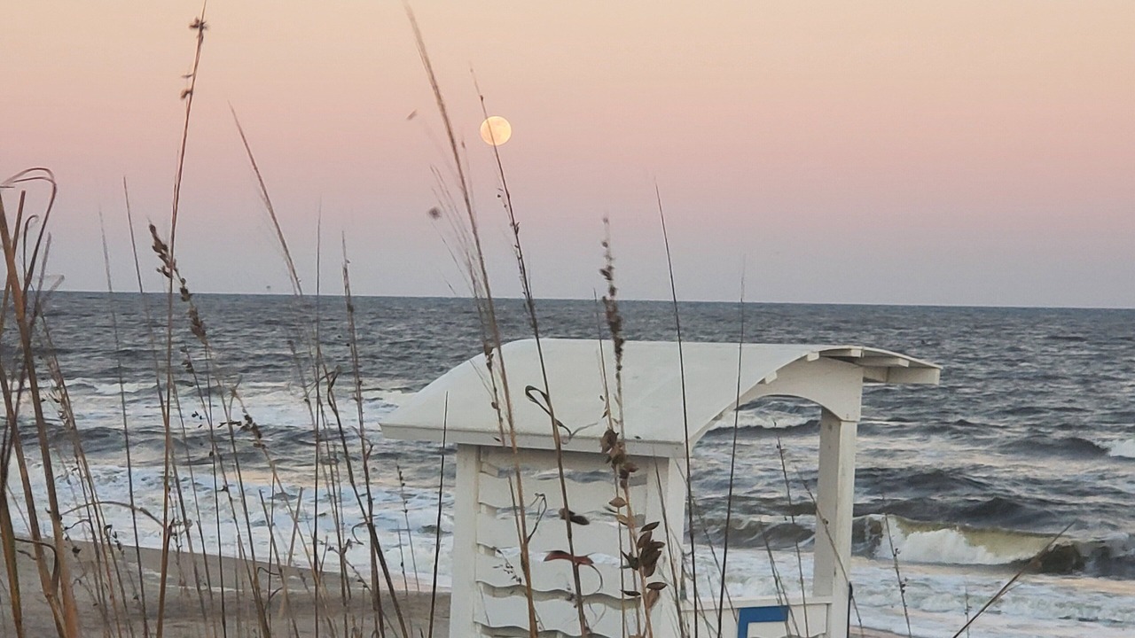 Photo of Others in Wilmington Beach