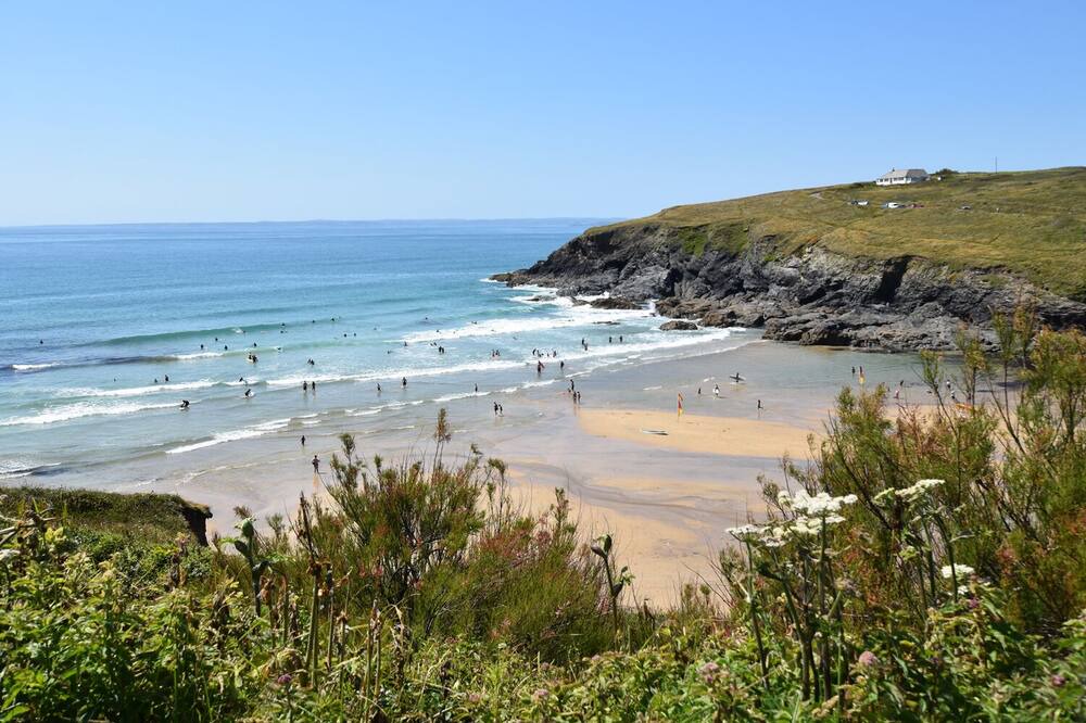 Photo of Others in Mullion
