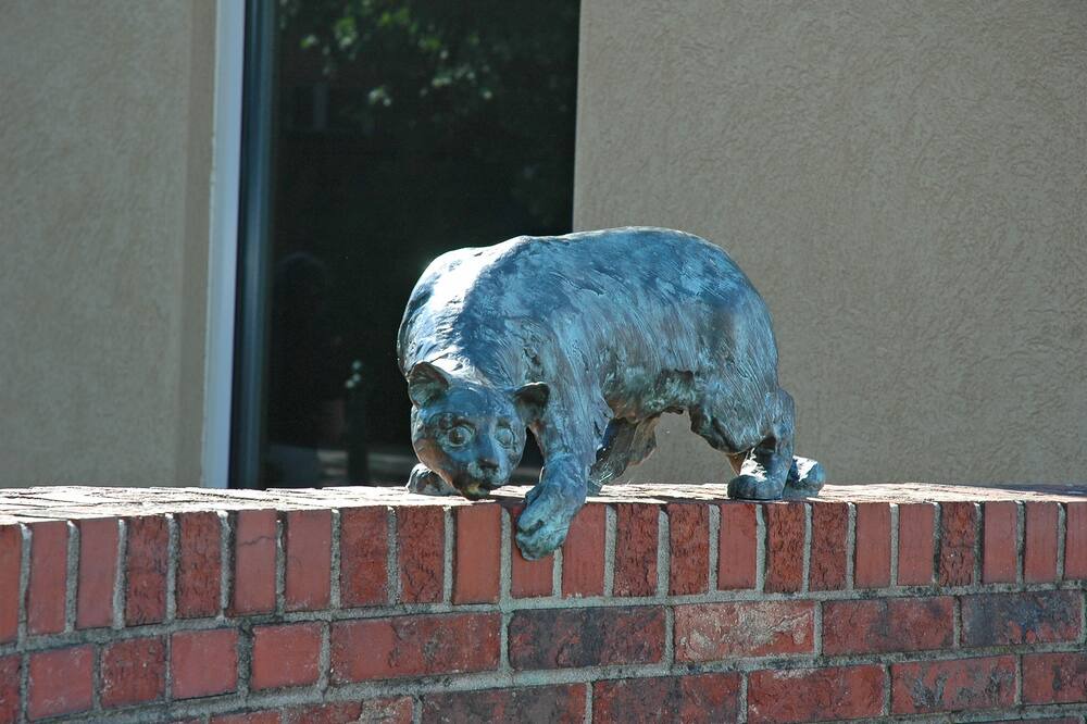 Photo of Outdoor in Skyland