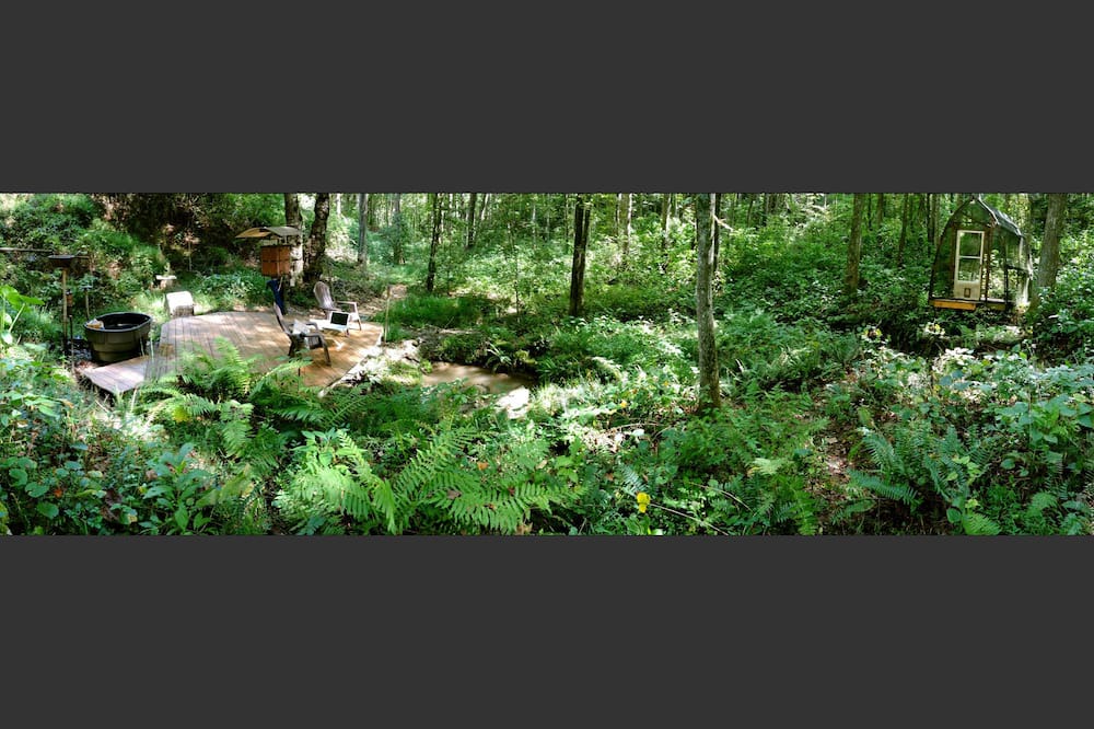 Photo of Others in Skyland