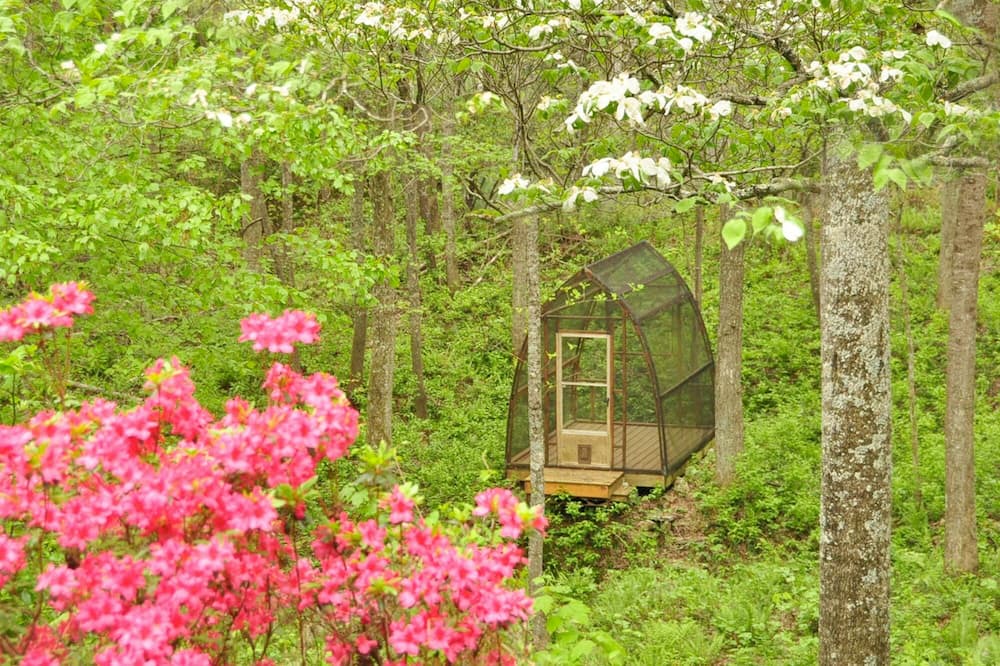 Photo of Outdoor in Skyland