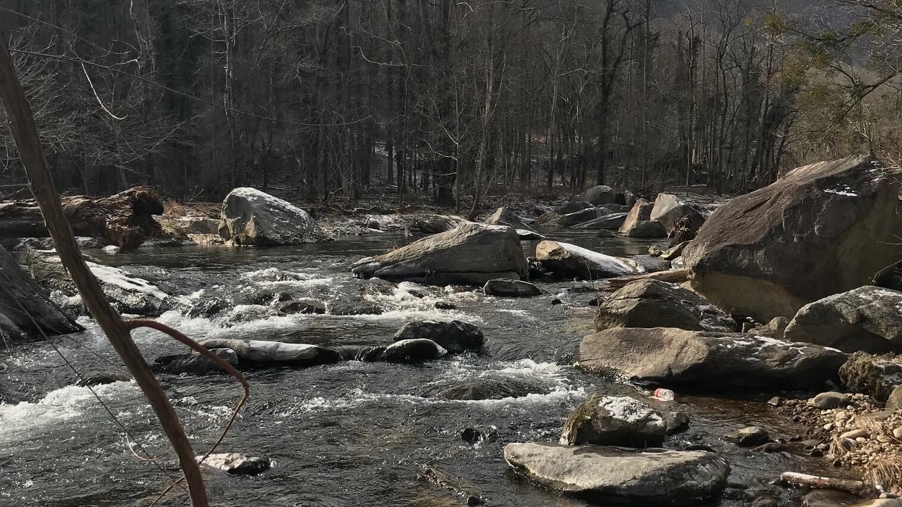 Photo of Outdoor in Forest City
