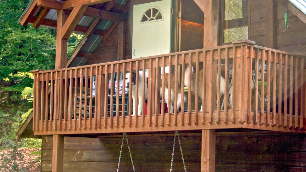 Photo of Outdoor in Bostic