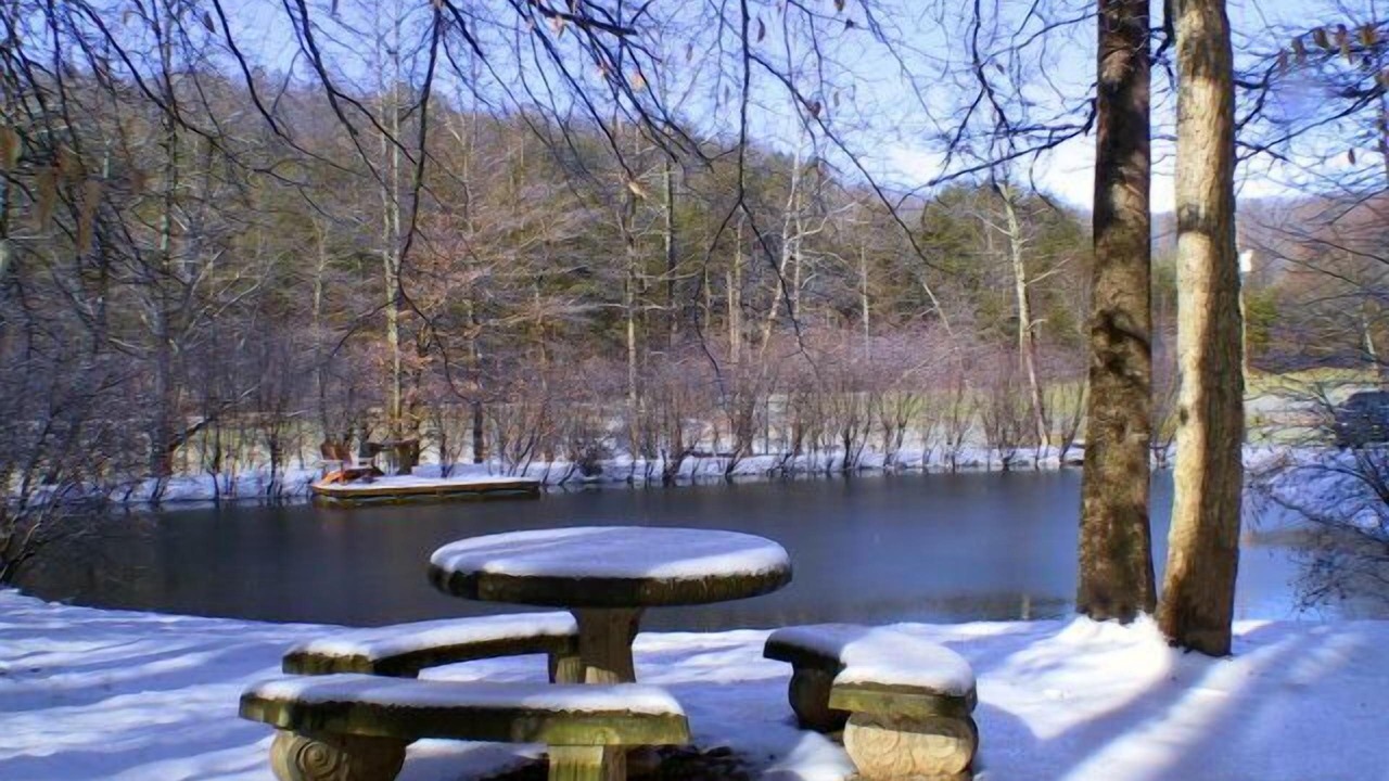 Photo of Others in Bostic