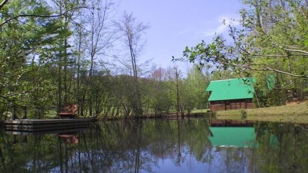 Photo of Outdoor in Bostic