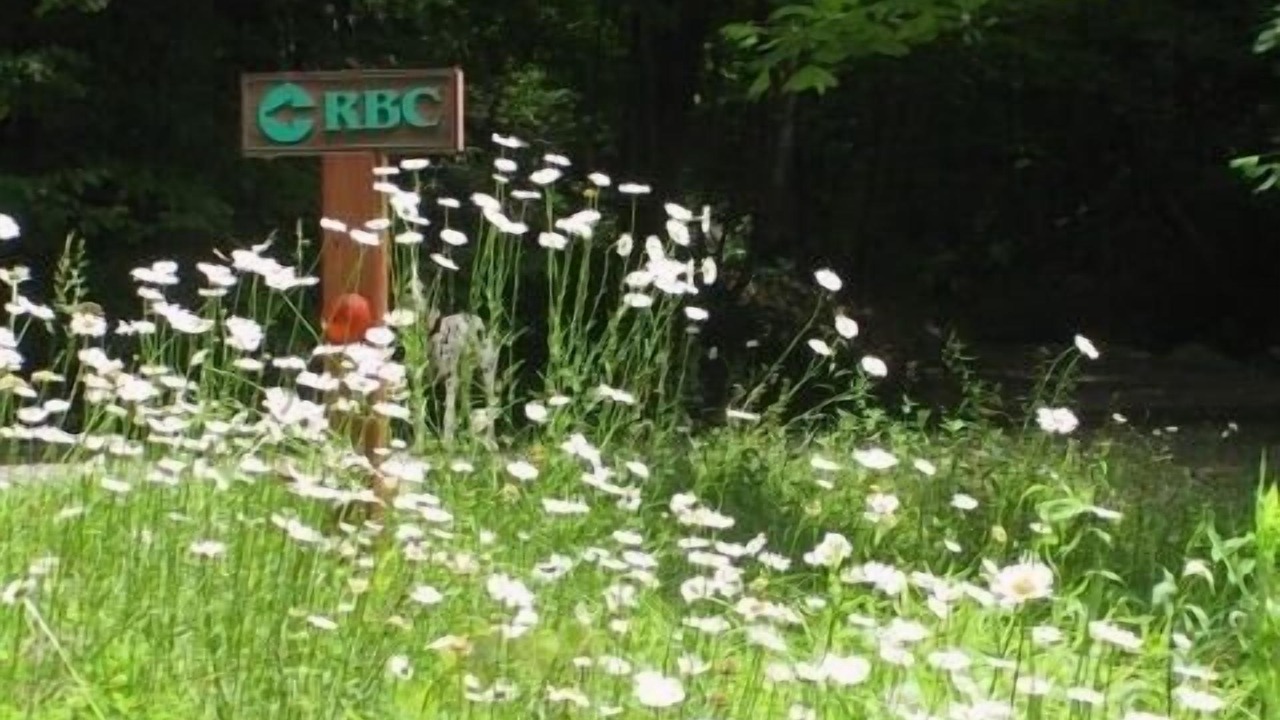 Photo of Outdoor in Bostic