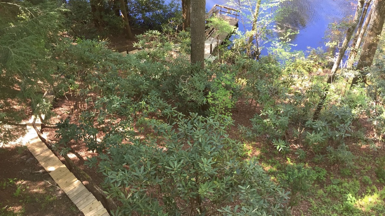 Photo of Outdoor in Mirror Lake