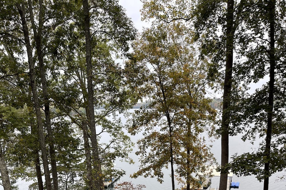Photo of Outdoor in Winchester