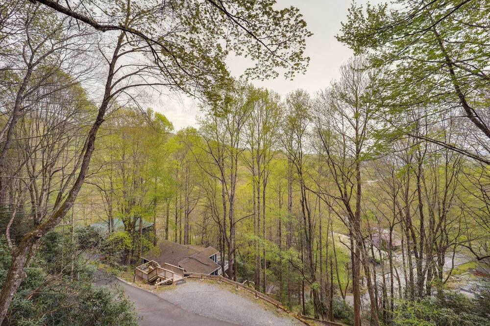 Photo of Others in Mill Ridge