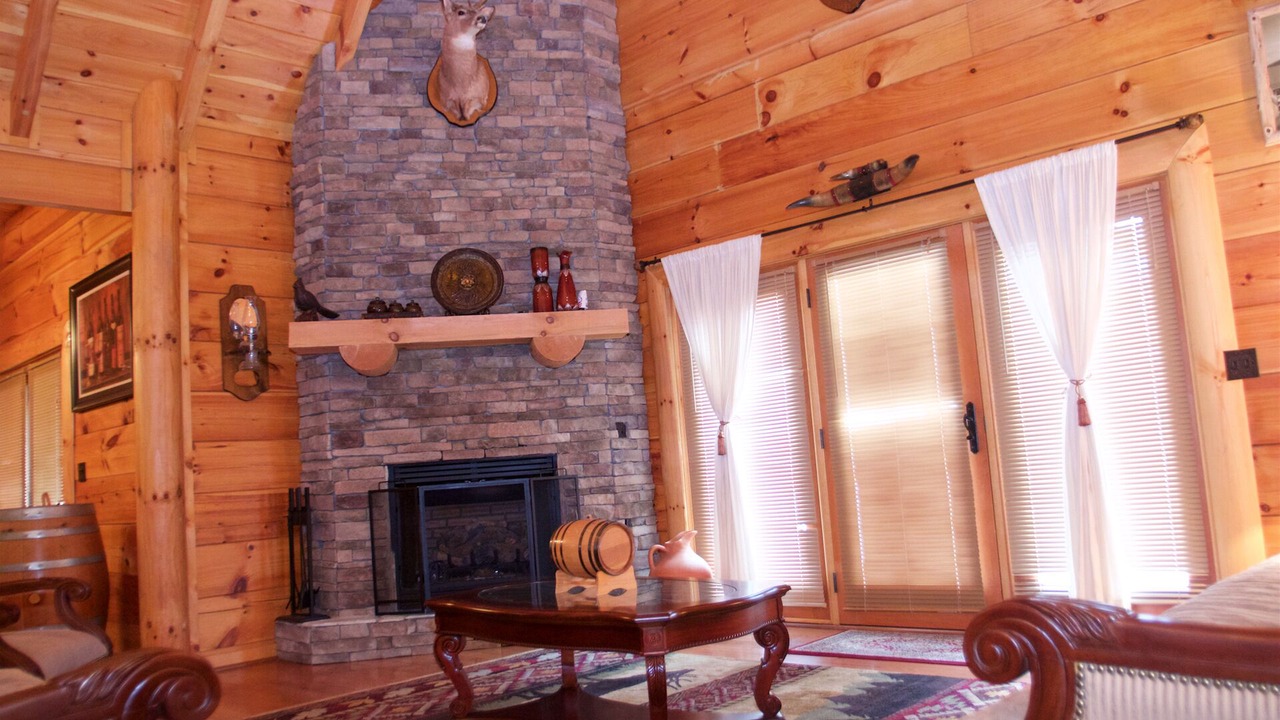 Photo of Livingroom in Dobson