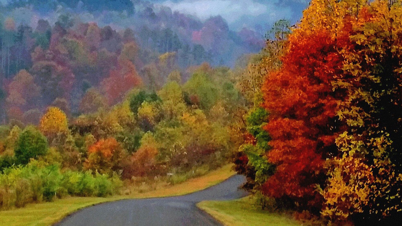 Photo of Outdoor in Dobson