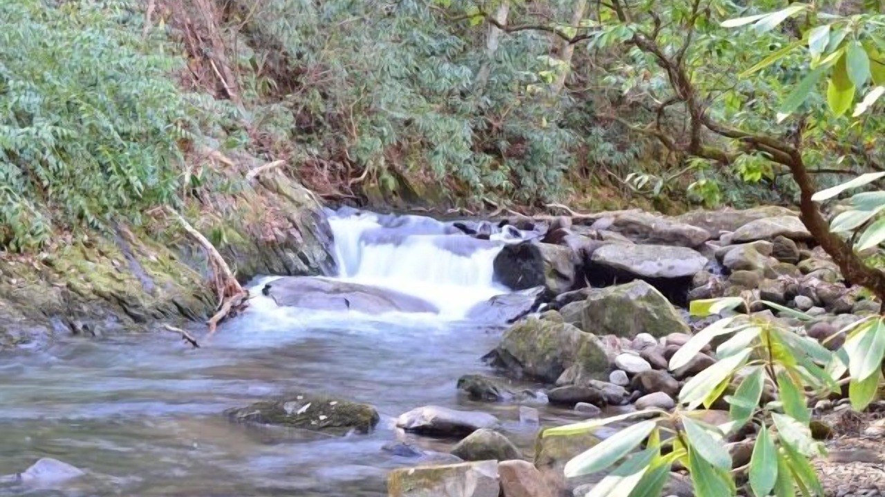 Photo of Outdoor in Robbinsville