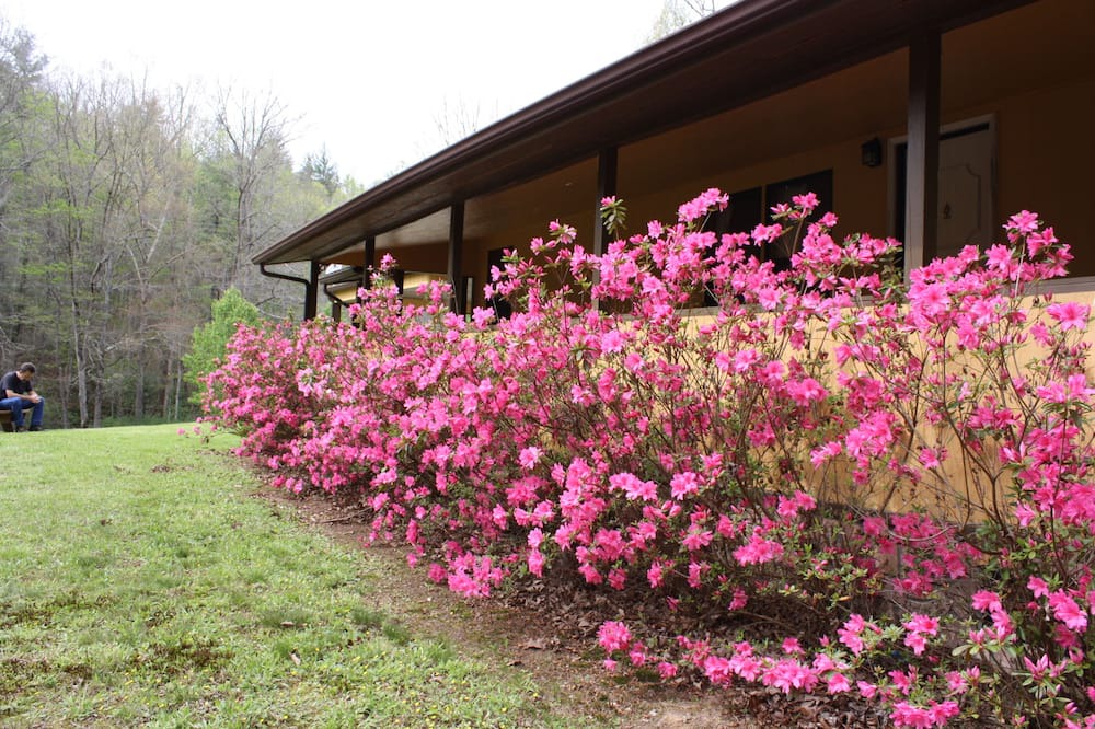Photo of Outdoor in Robbinsville