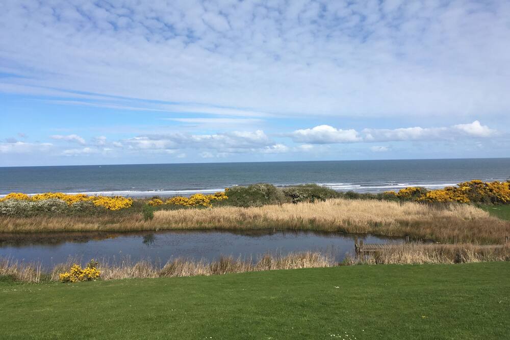 Photo of Others in Filey