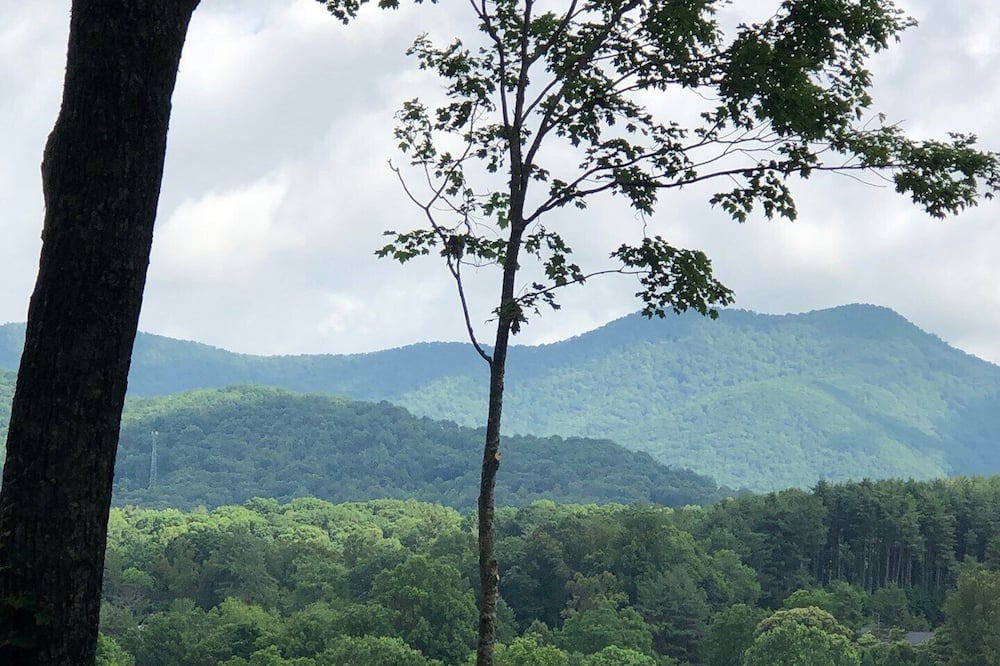 Photo of Others in Candler