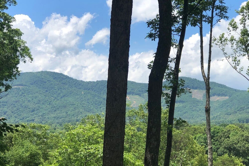 Photo of Others in Candler