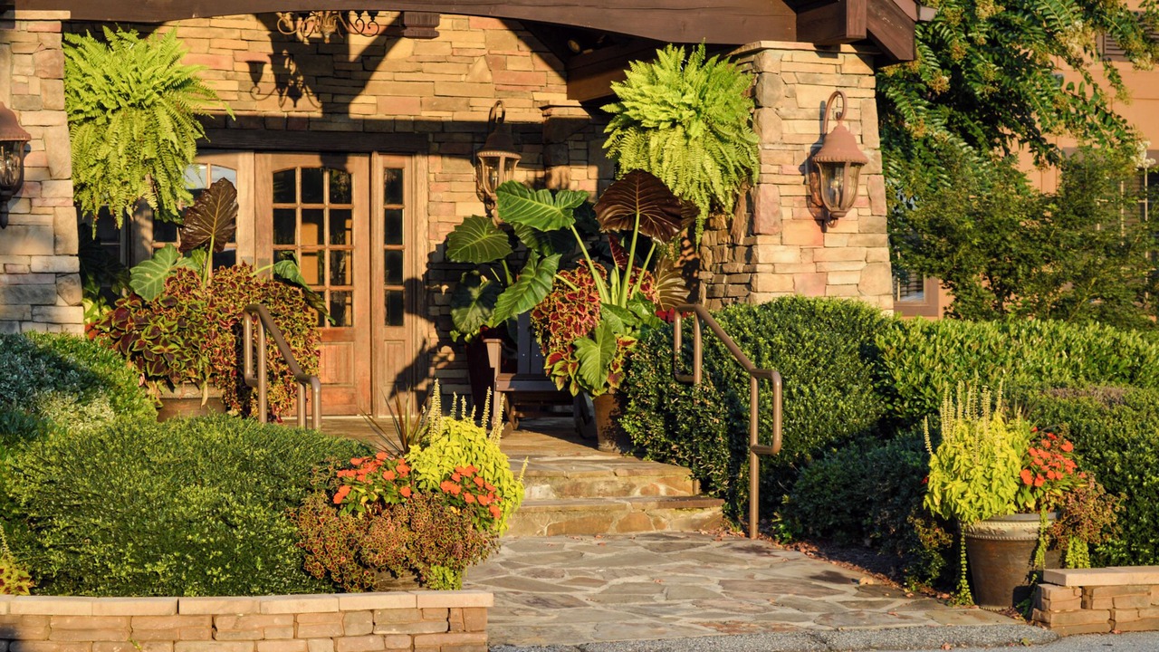 Photo of Outdoor in Flat Rock