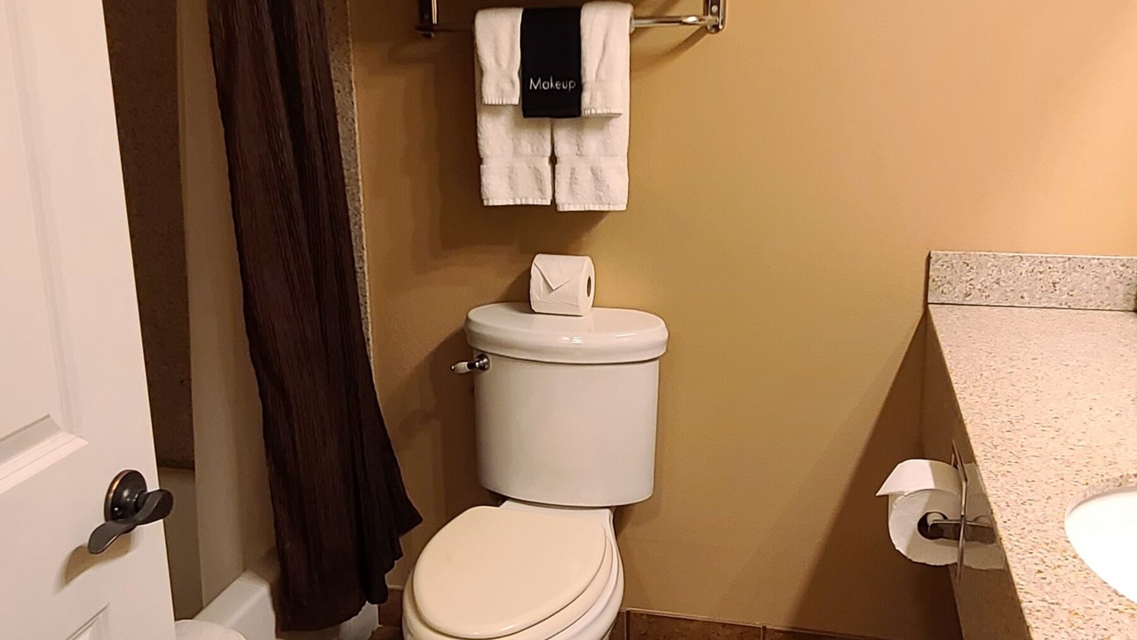 Photo of Bathroom in Flat Rock